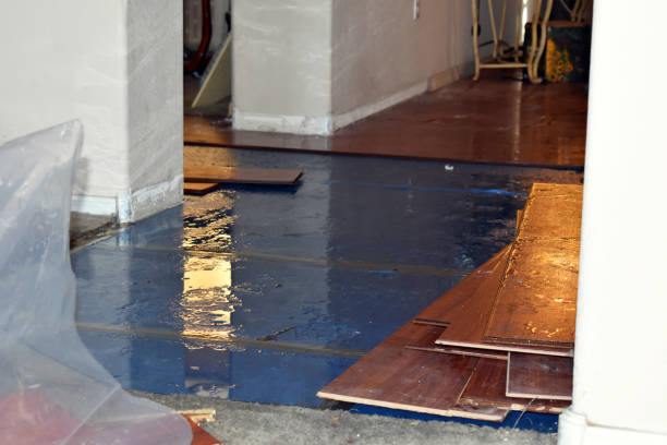 Professional Water Damage Restoration technician working in Minden City, MI